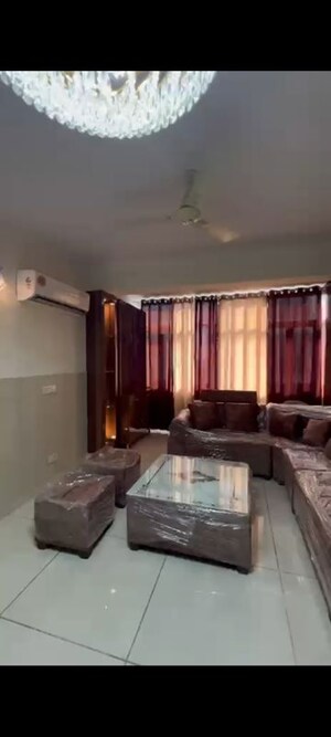 3 BHK Apartment For Rent in Maya Garden City, Lohgarh