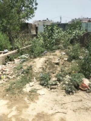  Plot For Sale in Sindhuja Greens, Sector 10 Greater Noida