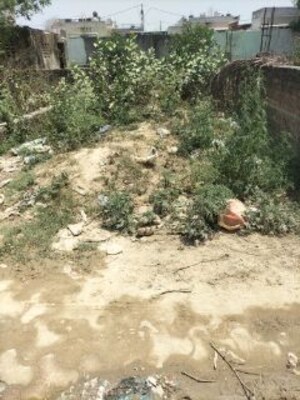 Plot Area in  Plot at Sindhuja Greens, Sector 10 Greater Noida – for Sale