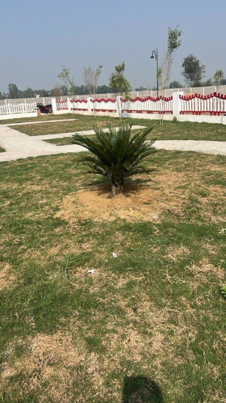 Garden, krishna-iscon-valley  1575 Sq.Ft. Plot In Gosainganj Lucknow 10329675