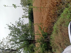  Plot For Sale in Sector 10