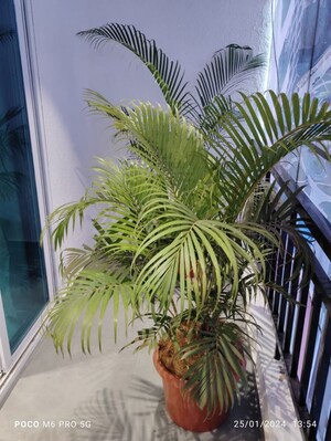 Balcony in 2 BHK Apartment at Rugi Colonia, Ambernath – for Sale