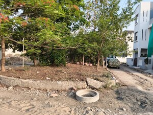 Plot Area in  Plot at Salaiya – for Sale