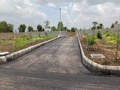 Plot For Sale in Shankarpalli