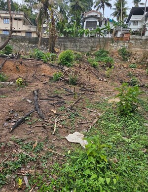  Plot For Sale in Sasthamangalam