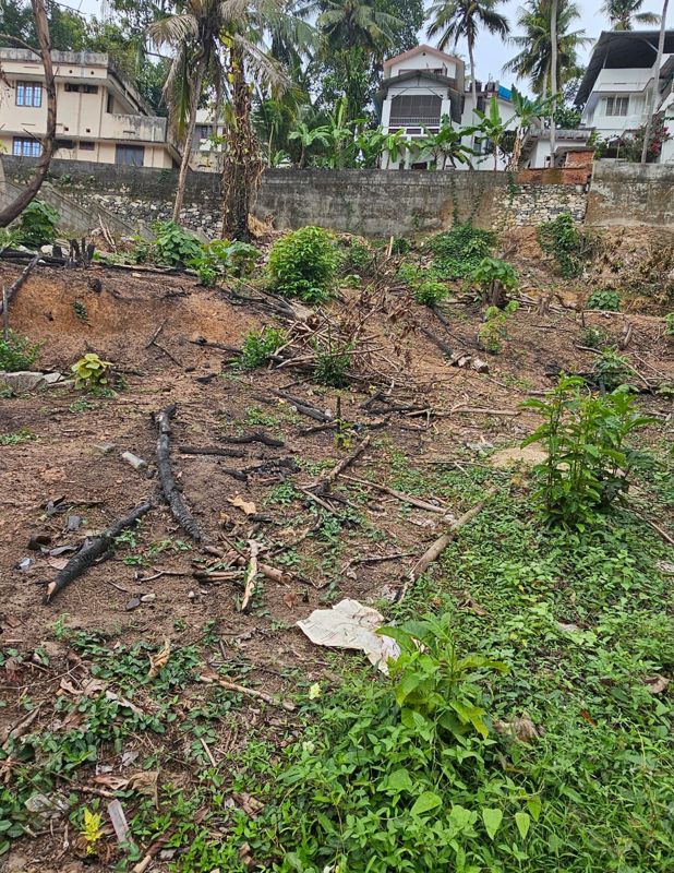 Plot For Sale in Sasthamangalam