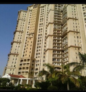 2 BHK Apartment For Rent in DLF Regency Park I, Dlf Phase iv