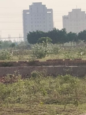 Plot Area in  Plot at Saini – for Sale