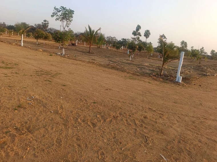 undefined, yacharam  260 Sq.Yd. Plot In Yacharam Hyderabad 10330232