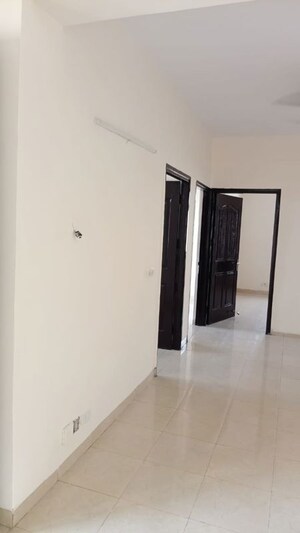 Furnished Amenities in 3 BHK Apartment at Tulip Orange, Sector 70 – for Rent