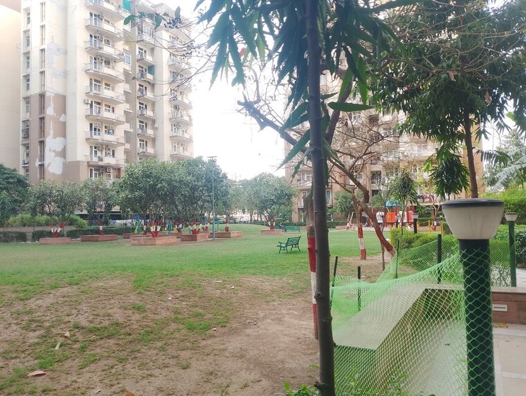 Garden, tulip-ace 3 Bedroom 1700 Sq.Ft. Apartment In Sector 89 Gurgaon 10330781