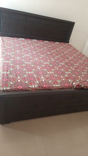 2 BHK Apartment For Rent in Unitech Uniworld Resorts-The Residences, Sector 33