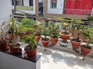 2 BHK Independent House – Exterior View View at Gomti Nagar - for Rent