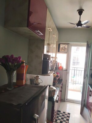 Kitchen in 3.5 BHK Apartment at Exotica Dreamville, Sector 16c Greater Noida – for Rent