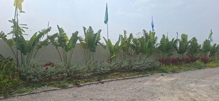 undefined, nadergul  183 Sq.Yd. Plot In Nadergul Hyderabad 10331381