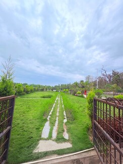 Plot For Sale in Biharigarh