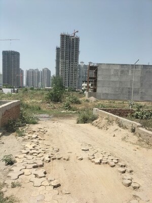  Plot – Exterior View View at Sindhuja Greens, Sector 10 Greater Noida - for Sale