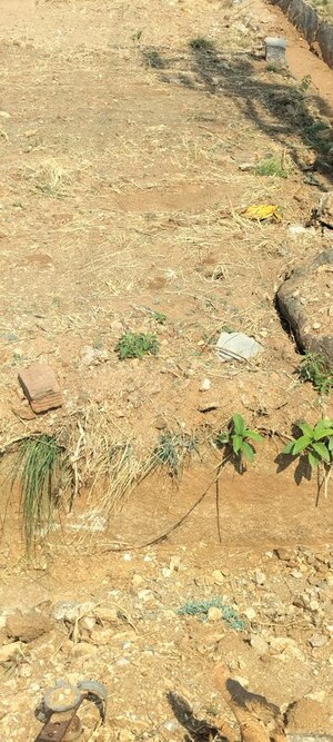 Plot Area in  Plot at Honnasandra – for Sale