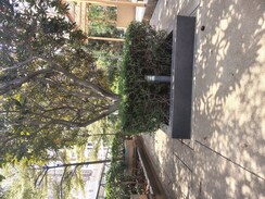 3 BHK + Pooja Room Apartment For Rent in Rajapushpa Provincia