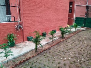 2 BHK Builder Floor – Garden View at Sector 52 - for Rent