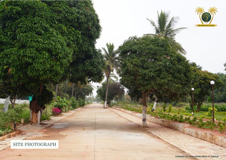 Exterior View, chikkaballapur  1200 Sq.Ft. Plot In Chikkaballapur Bangalore 10331640