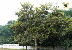  Plot – Exterior View View at Chikkaballapur - for Sale