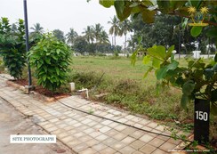 Plot For Sale in Chikkaballapur