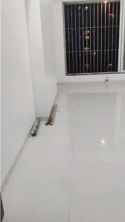 2 BHK Apartment For Rent in Chembur