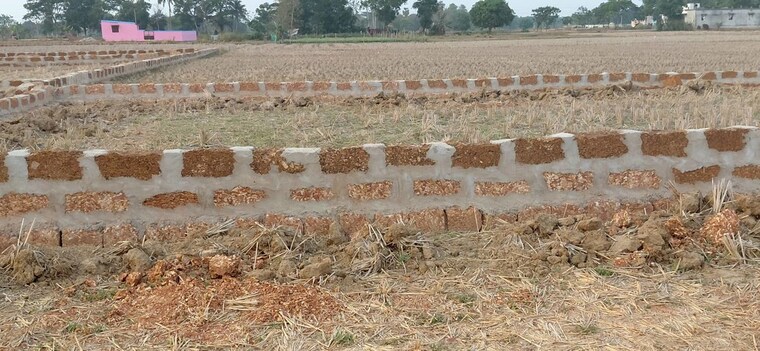 undefined, gudiapokhari  1500 Sq.Ft. Plot In Gudiapokhari Bhubaneswar 10331719