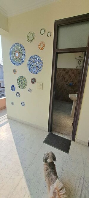 Building Lobby in 3 BHK Builder Floor at Sector 43 – for Rent