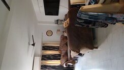 3 BHK + Pooja Room,Servant Room,Study Room,Extra Room Apartment For Sale in New Friends Colony