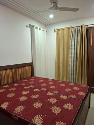 3 BHK Builder Floor For Rent in Sector 20