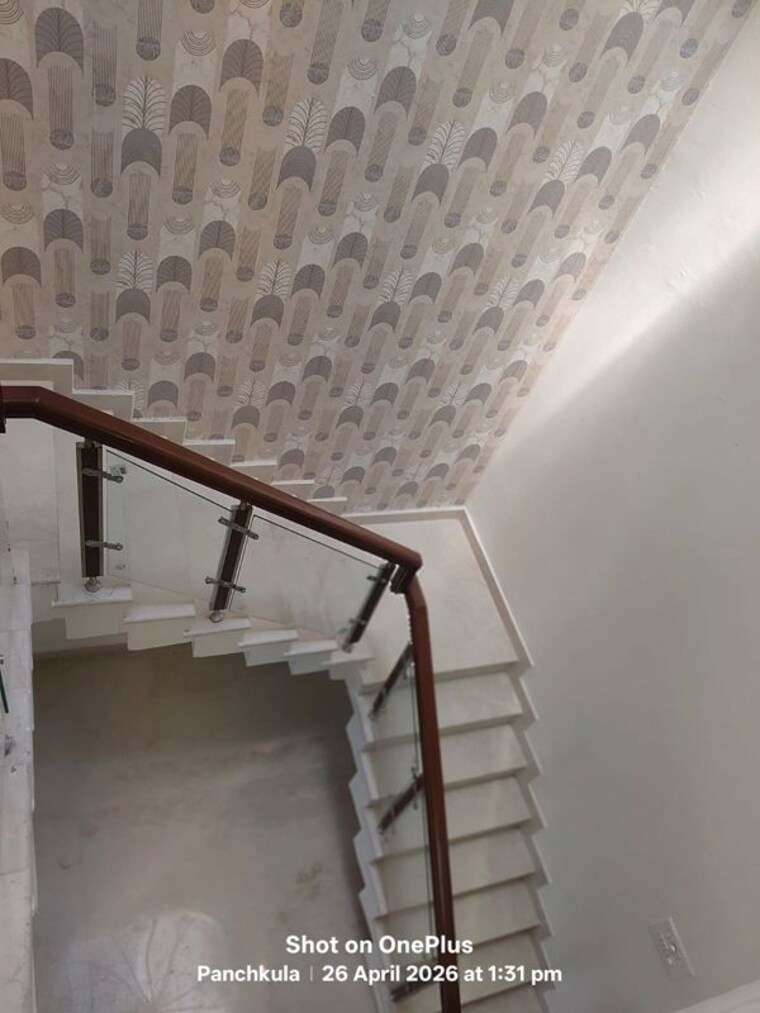 undefined, sector 24 5 Bedroom 250 Sq.Yd. Independent House In Sector 24 Panchkula 10331952