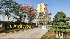 3 BHK Apartment For Sale in Tulip Yellow
