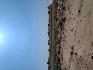   Plot at Narela – for Sale