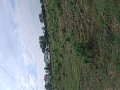 Plot For Sale in Maruti Kunj