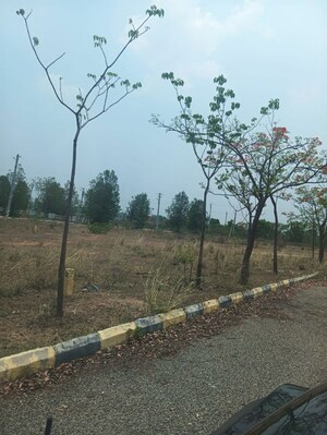Plot Area in  Plot at CBC Lorven Platina, Nandiwanaparthy – for Sale