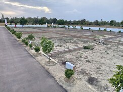 Plot For Sale in Gosainganj