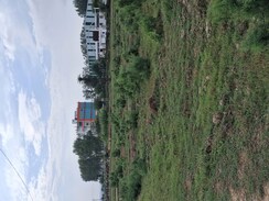 Plot For Sale in Sohna