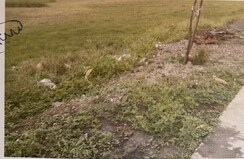 Plot For Sale in Tigaria Badshah