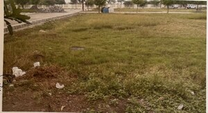Plot Area in  Plot at Tigaria Badshah – for Sale
