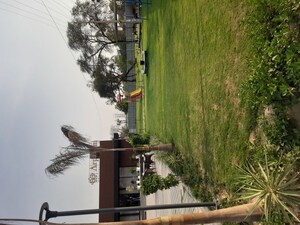 3 BHK Apartment For Sale in Adore Arpanam, Sector 83