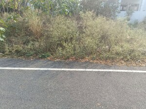  Plot For Sale in Gottigere