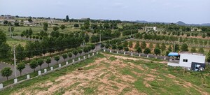 Plot Area in  Plot at Pharma Green City, Yacharam – for Sale