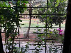 1 BHK + Study Room Apartment For Rent in CIDCO Vastu Vihar