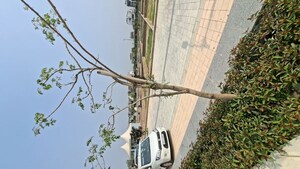  Plot – Garden View at Sushant Golf City - for Sale