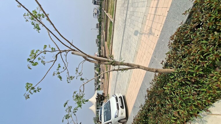 Garden, sushant golf city  1378 Sq.Ft. Plot In Sushant Golf City Lucknow 10333660