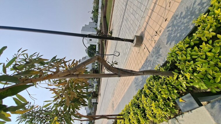 undefined, sushant golf city  1378 Sq.Ft. Plot In Sushant Golf City Lucknow 10333660