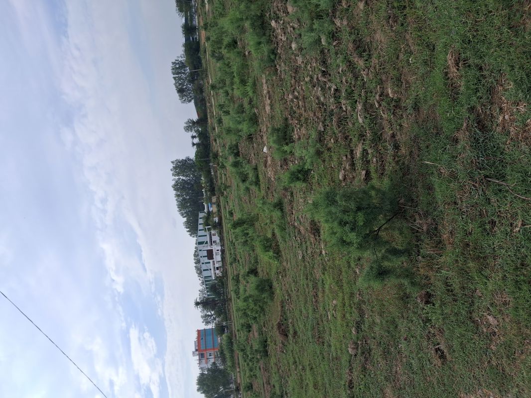 Plot For Sale in Sector 102
