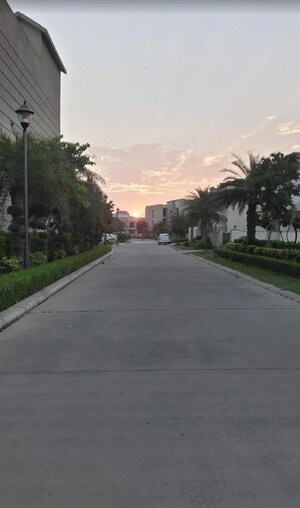 Parking in 3 BHK Builder Floor at Omaxe Silver Birch, North Mullanpur – for Sale